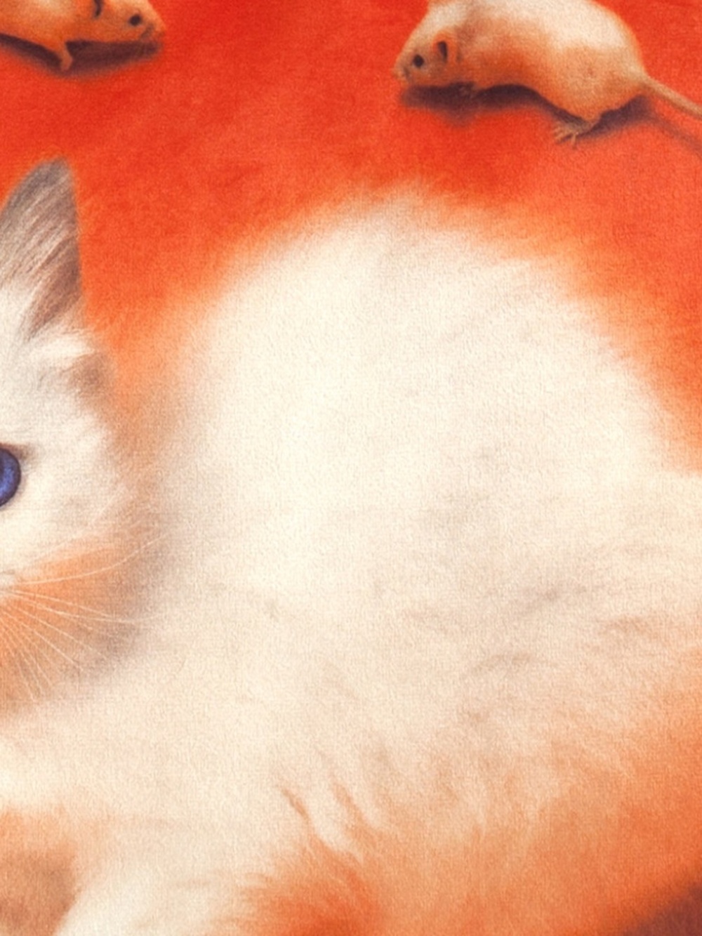 New Seletti Throw Pillow Cushion 50x50cm Kitten Cat Mice Mouse Decorative Decor - Picture 3 of 5